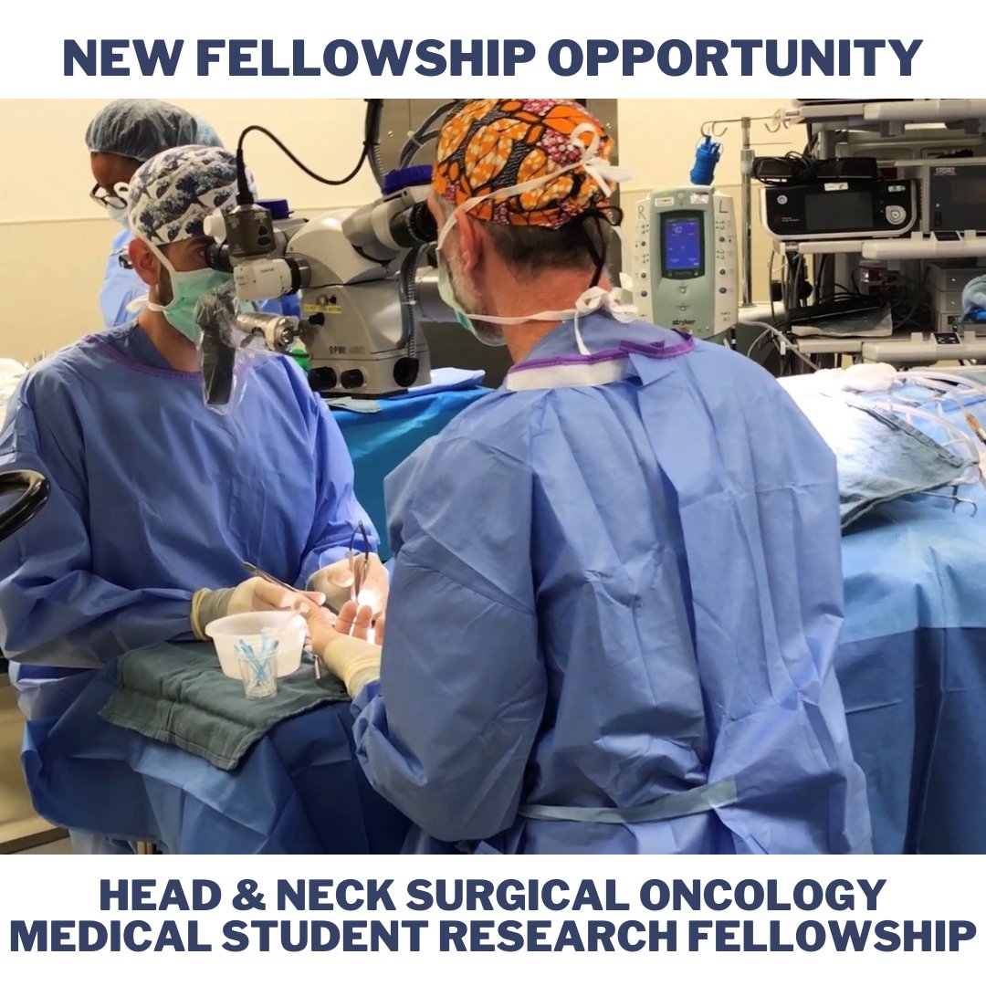 We’re excited to announce that we will be offering a medical student #research #fellowship in H&amp;N surgical #oncology! Applications will be accepted through February 28. <a href="/NettervilleJim/">James Netterville</a> <a href="/TopfHNS/">Michael Topf MD, MSCI</a> <a href="/SarahLRohde/">Sarah Rohde</a> <a href="/langermology/">Alexander Langerman (he/him) 🏳‍🌈🇺🇦🇺🇸</a> <a href="/KyleMannionHN/">Kyle Mannion</a> <a href="/EbenRosenthal/">Eben L Rosenthal, MD</a> 

vumc.org/ent/head-and-n…