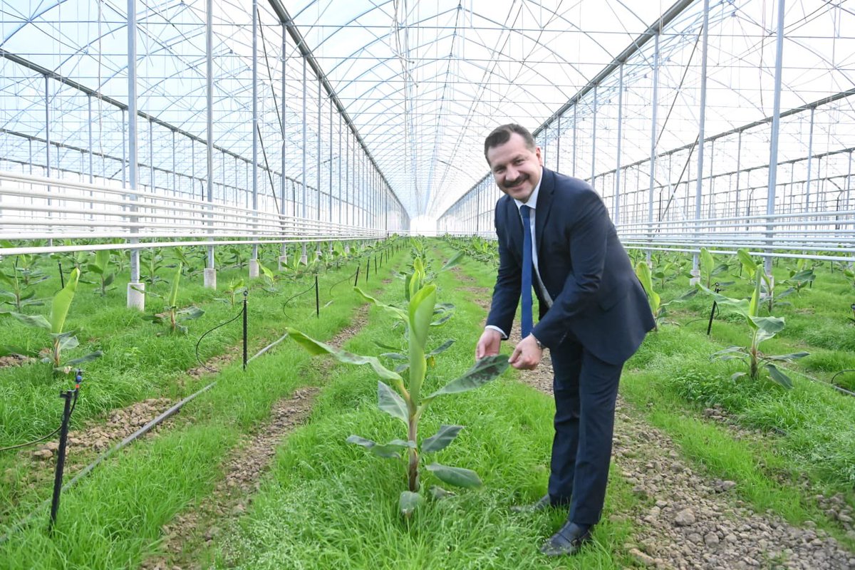 Yücel Yılmaz