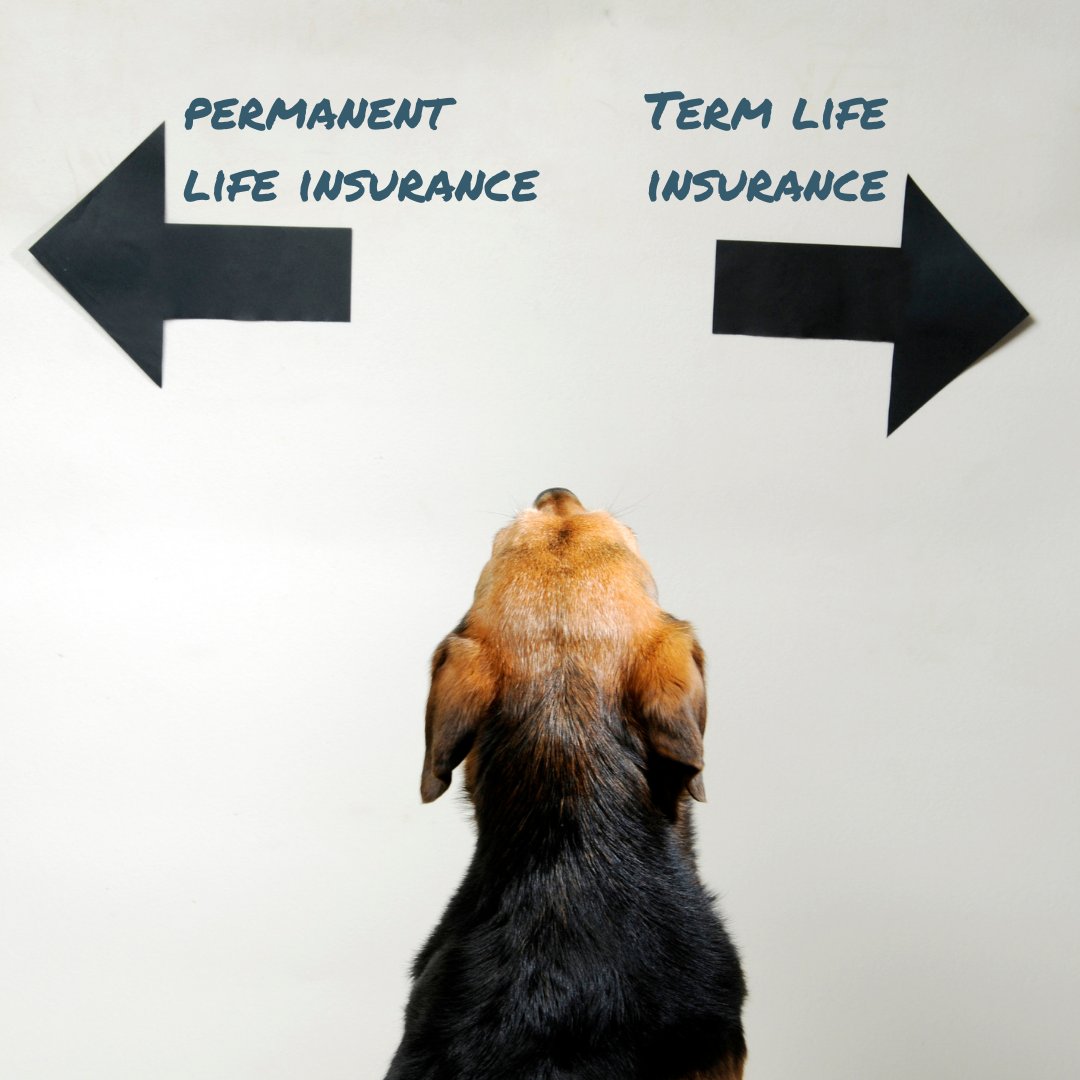 GeldinInsurance's tweet image. Life insurance can be tailored to your specific needs. Consider the type and amount of coverage you require. Meet with us to review your policies! geldin.com

#termlifeinsurance #permanentlifeinsurance #lifeinsurance