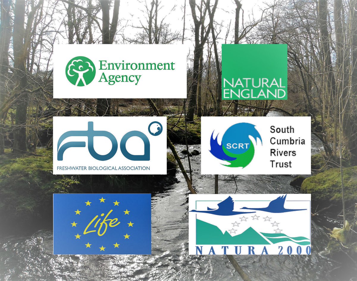 LIFER4everKent's tweet photo. #Partnerships are an incredibly effective way of addressing #ConservationIssues, pooling knowledge and expertise for the best possible outcomes. Time to meet the partners! #Collaboration #Partnership #NatureRecovery #LIFER4everKent https://t.co/PoQ9kZcQJf