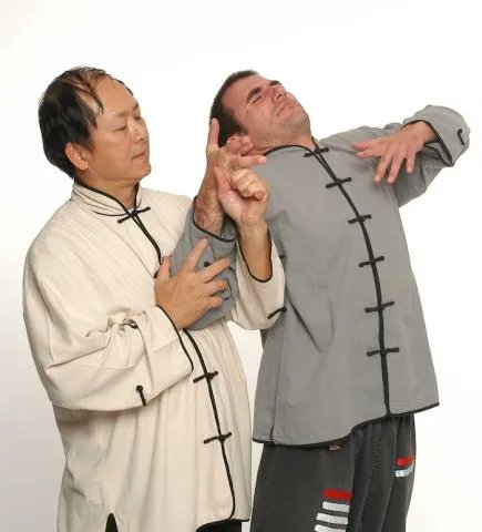 ymaadotcom's tweet photo. Chin Na is Kung Fu joint locks and restraining methods. YMAA and Dr. Yang, Jwing-Ming have created this amazing library of Chin Na streaming video instruction, to allow you to learn from the master. Check it out here: https://t.co/1ajrQyd466 #martialarts #kungfu #jointlocks https://t.co/UJLYA9CEQl