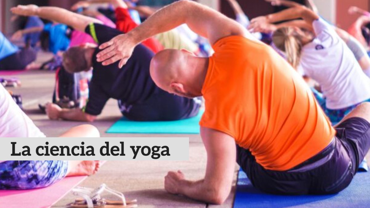 HippoHiveEs's tweet photo. ¿Cómo el yoga puede transformar tu vida? 👇https://t.co/cyNptwt4EL  Comparte y conoce nuestro contenido: https://t.co/TDMYY4lVWB 

#hippotechnologies #bienestar #ejercicio #deporte #yoga #nutrición #salud #blog #website https://t.co/SCEQzqd42d