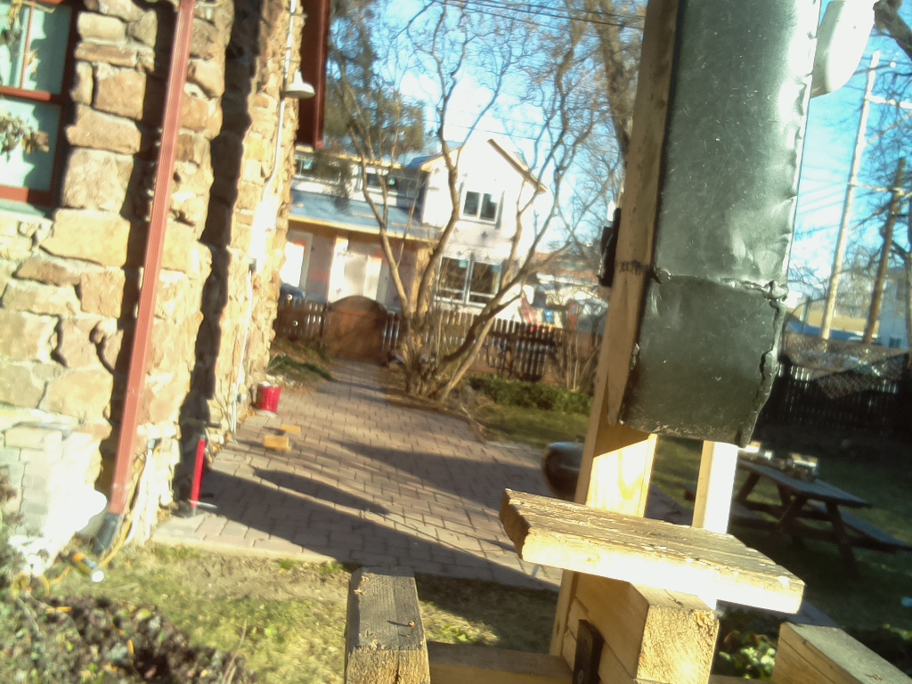 SquirrelCarl's tweet photo. Feeding time. Here is my food. It weighs -0.07 pounds. #squirrel #squirrelfeeder https://t.co/EFlkty3uEK