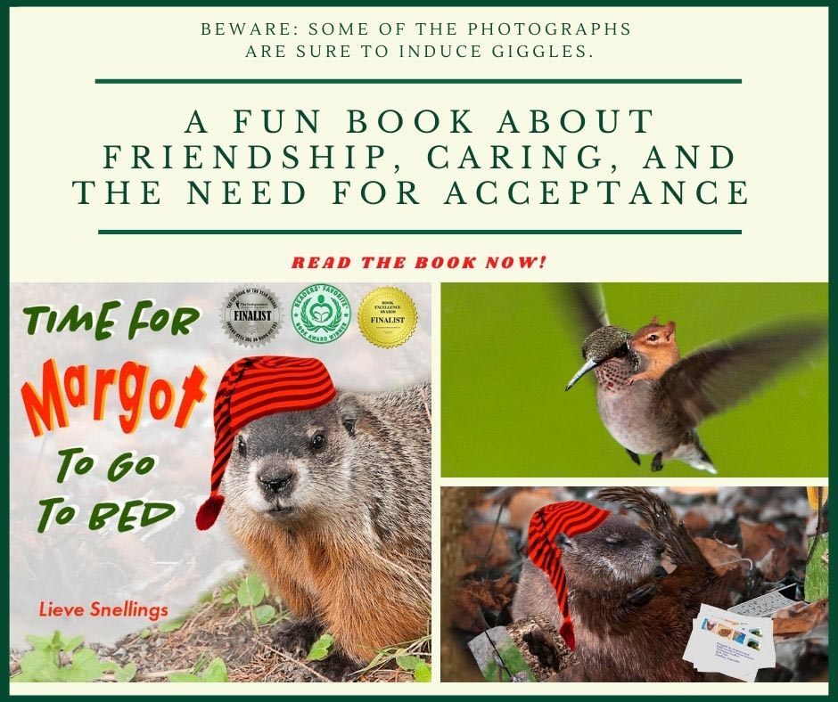 Carole Parkes (@caroleparkes1) on Twitter photo Playing with her friends is the best. But when Margot needs to go into hibernation, her world breaks down. Lucky Margot gets help!
Grab it now!
mybook.to/OI5iG71
<a href="/SnellingsLieve/">Lieve Snellings</a> #CoPromos #childrensbooks #MustRead #bedtimestory Playing with her friends is the best. But when Margot needs to go into hibernation, her world breaks down. Lucky Margot gets help!
Grab it now!
mybook.to/OI5iG71
<a href="/SnellingsLieve/">Lieve Snellings</a> #CoPromos #childrensbooks #MustRead #bedtimestory