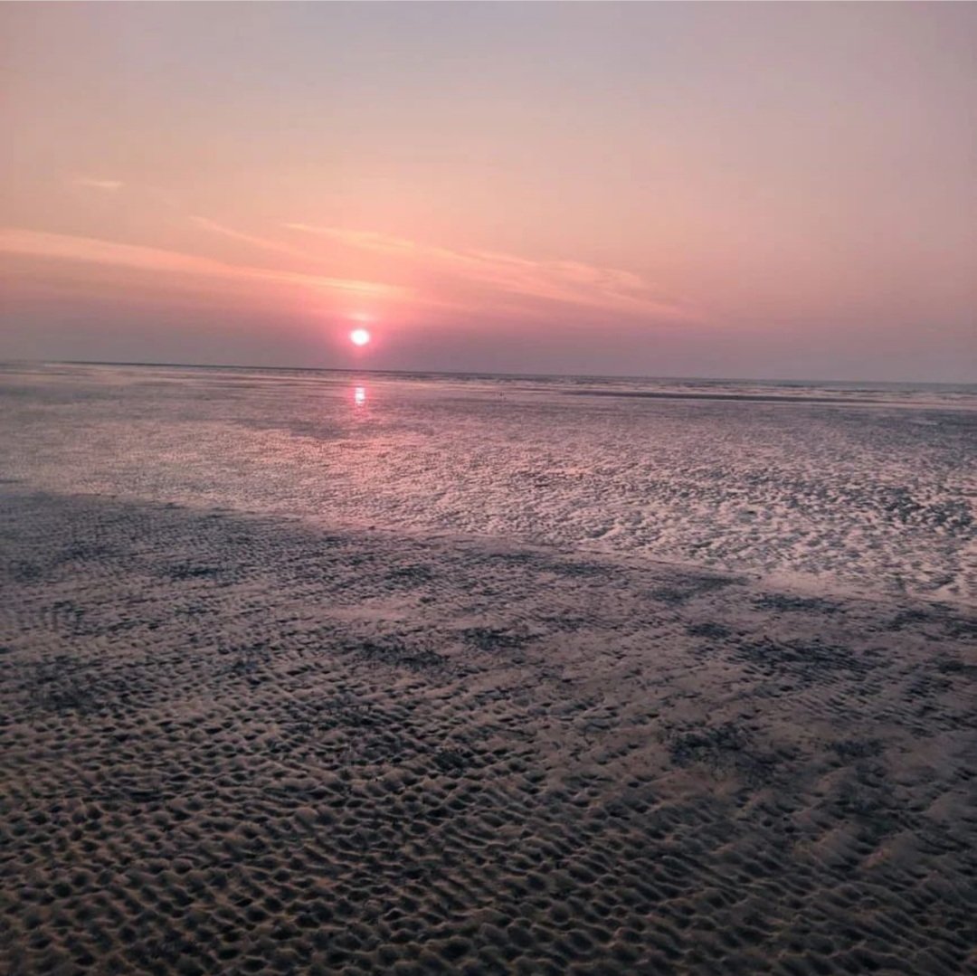 LensationNM's tweet photo. It's #FeatureFriday!๐
Captured by Priyal Shah๐ธ
Attach your best clicks here to get a chance to be featured -
https://t.co/7fV1QAtZCj
#Photography #PhotographyFeature #PhotoOfTheDay https://t.co/37tcp8FOCz