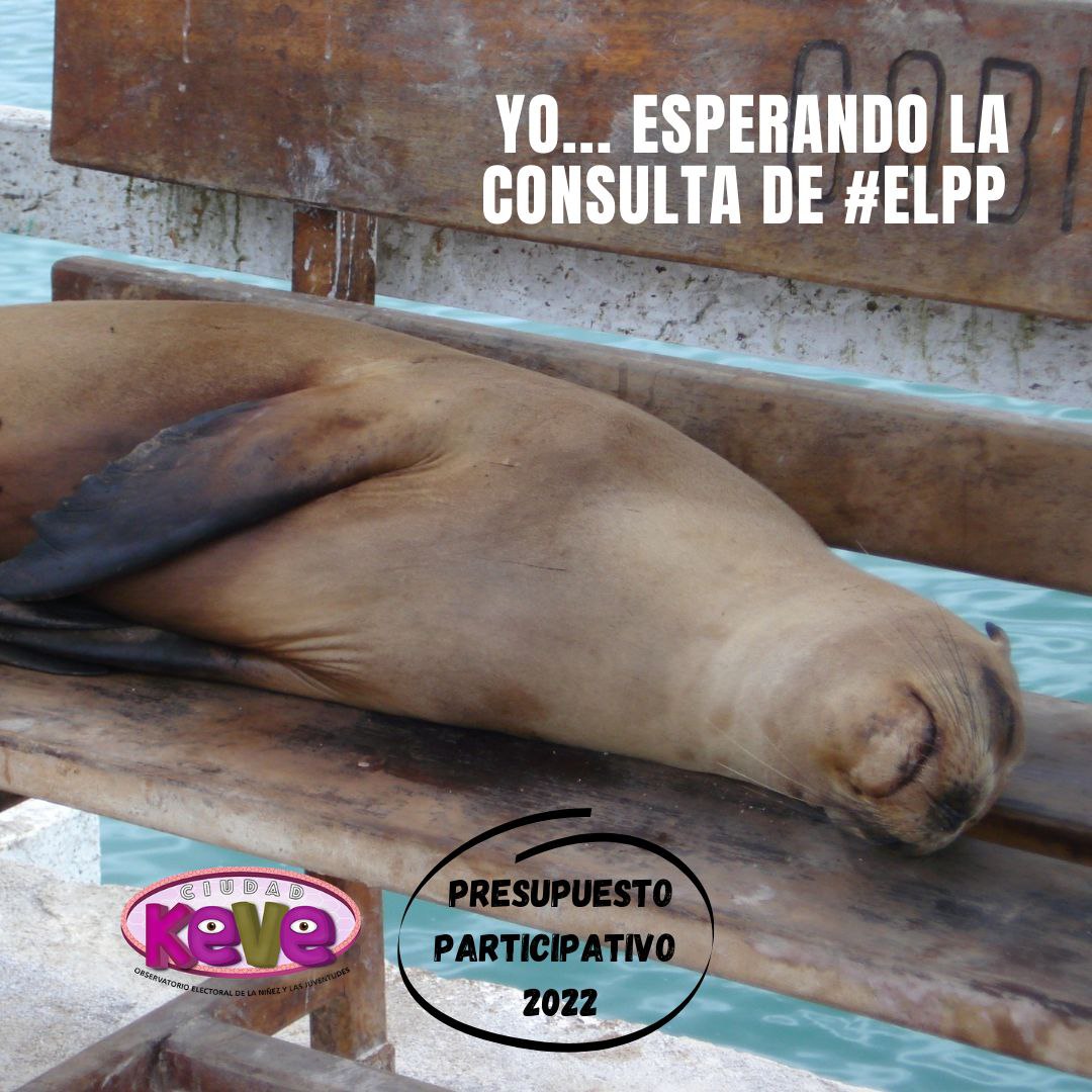 CiudadKeVe's tweet photo. Las personas menores de edad también tenemos derecho a participar en #ElPP #presupuestoparticipativo 👏👏
¿Cómo registrar mi proyecto? https://t.co/AROYVTwwj0
Échale un ojo #ElPP 🧐😎😳 https://t.co/cxxEAI4TuO
#YoObservo #Tlachiani #niñas #niños #ObservamosParaTransformar https://t.co/I3vzh0aAuF