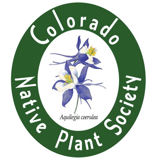 ColoradoNPS's tweet photo. #FruitingFriday #coloradonativeplantsociety    See the black seeds in Frasera speciosa, monument plant, at 8600 ft. over several months. Spreads potential germination success over different conditions, temperatures and precipitation, winds, and undoubtedly, the feeding by birds. https://t.co/GFbOSEhbu1