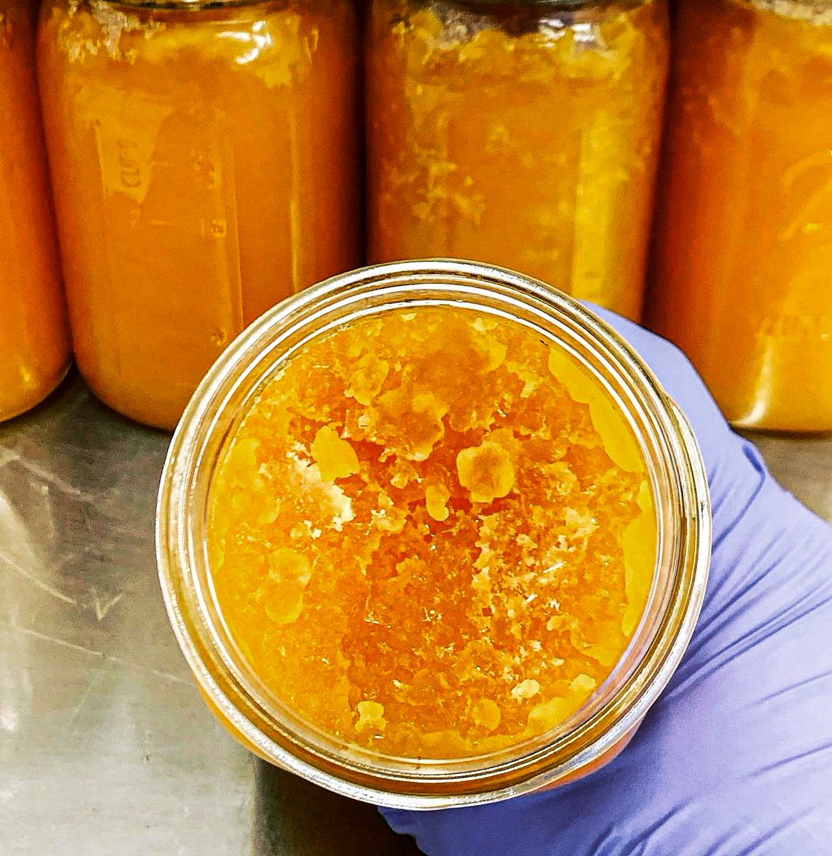 LabSociety's tweet image. Repost from @highelevationlabs

labsociety.com/lab-equipment/…

#shortpathdistillation isolate #fallingfilm #science #moleculardistillation #shortpathkit #wipedfilmevaporator #rotaryevaporator #terpenes #evaporator #closedloop