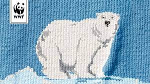 LOdysseeCEPEO's tweet photo. C'est la journée de la P'tite Laine 2022 ❄️#ecocepeo #WWF1 https://t.co/crIJa5ojoy