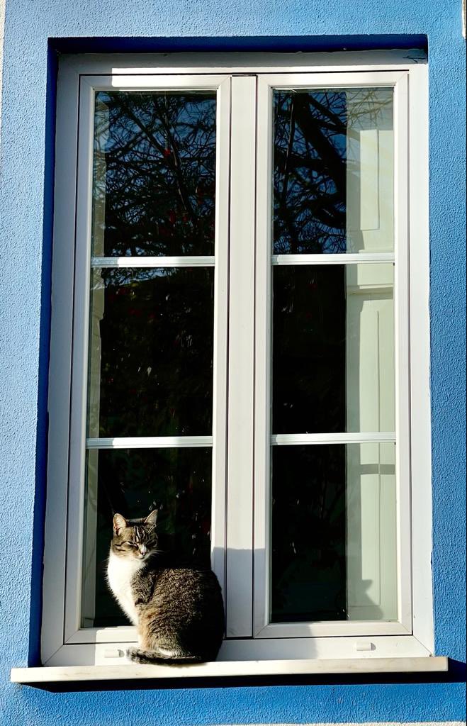 Cristina dos Santos (@tininha_sn) on Twitter photo 