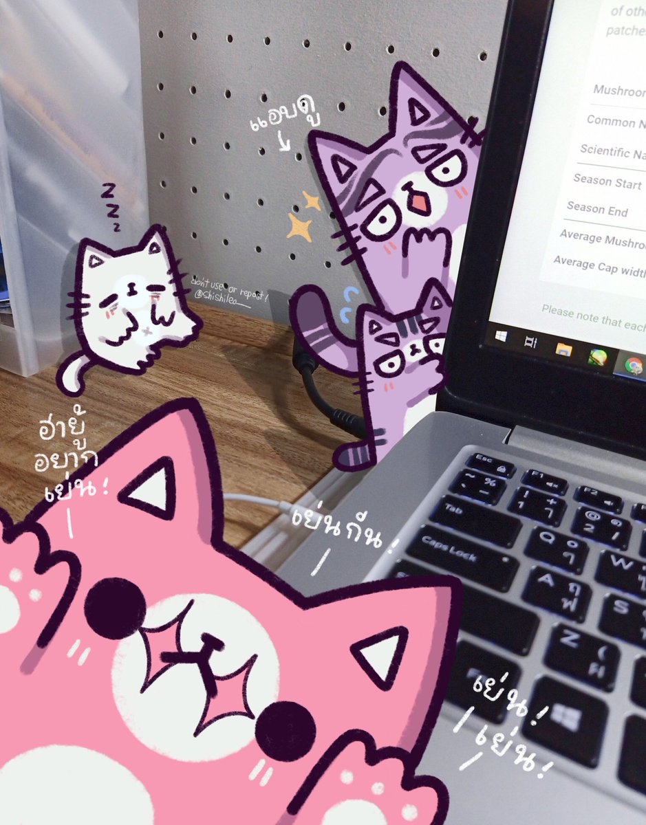 shishileo__'s tweet photo. ตัวก่อกวน 🐱 https://t.co/x1YIrGEWgG