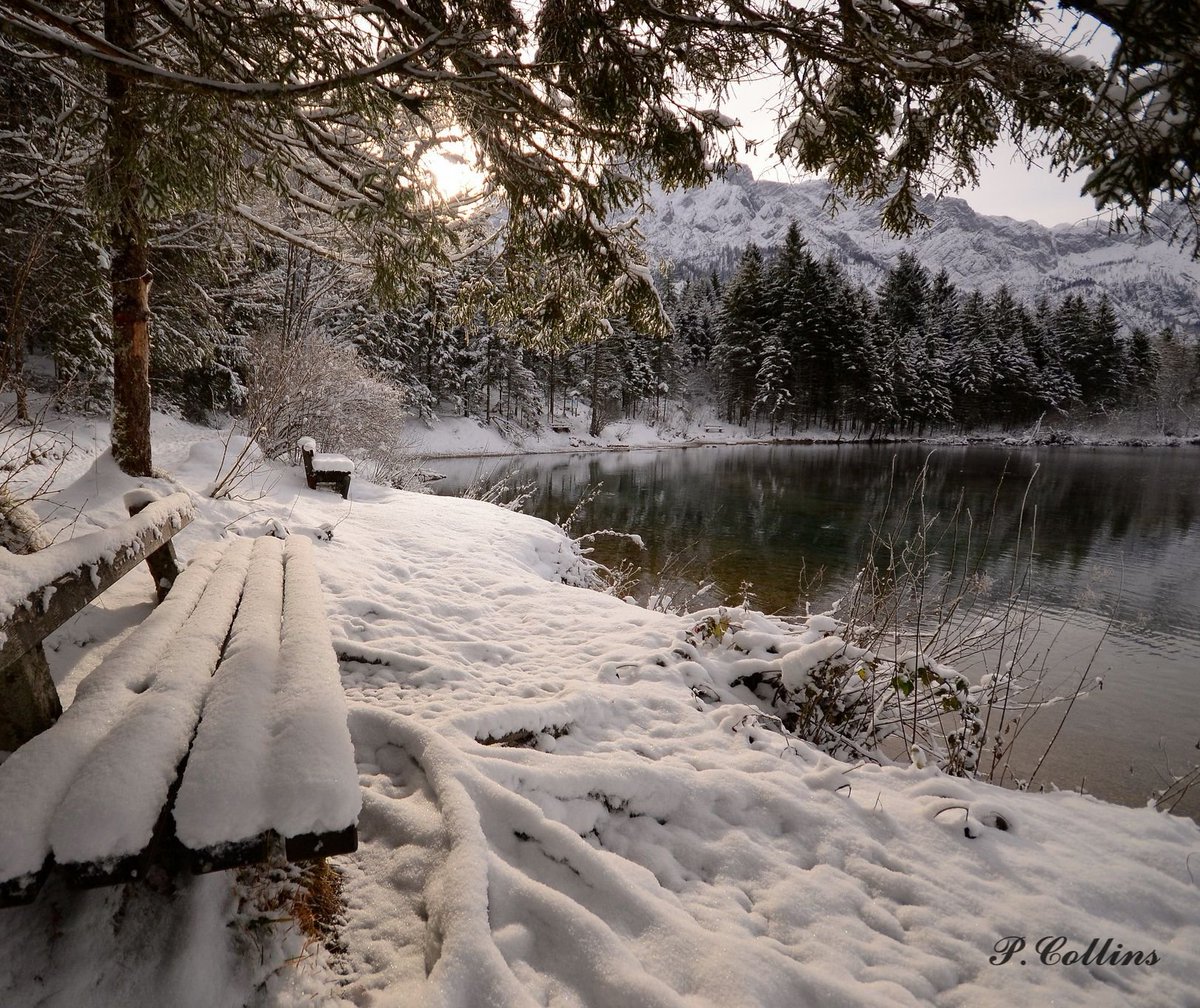P_collins787's tweet photo. #NaturePhotography 📷 #WinterWonderland #nature 
#wintervaccations #canon 
#mountain https://t.co/7K0ab3dmpG