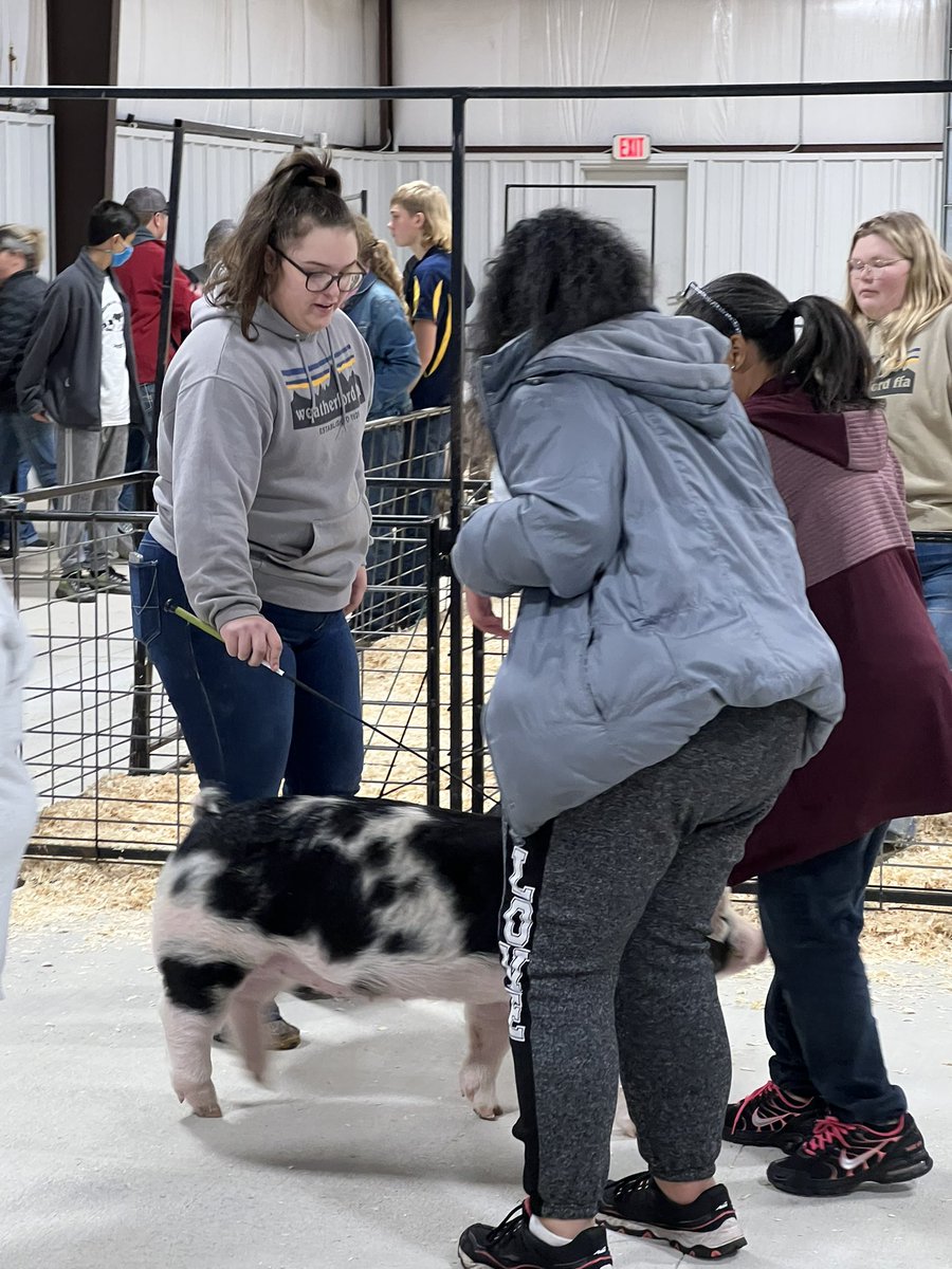 campbellsTLC's tweet photo. Weatherford showstoppers 2022 🐖 🐐 #cpsreds https://t.co/vBNRqCtGFC