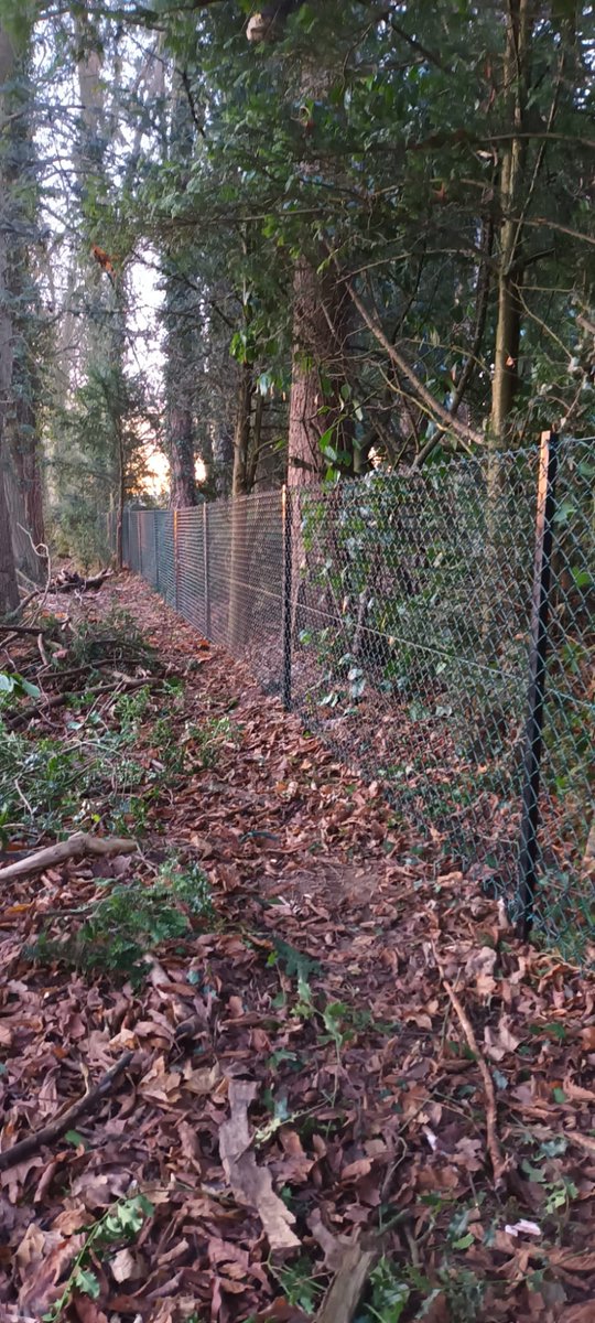 JBarnesFencing's tweet photo. Chainlink fencing using metal posts.
#chainlink, #barnesfencing, #chipperfield https://t.co/bJGW6SCWK6