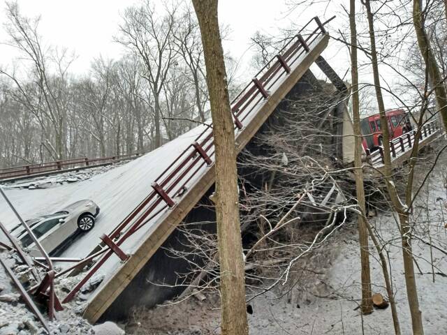 TeaRexis's tweet image. Choose your fighter