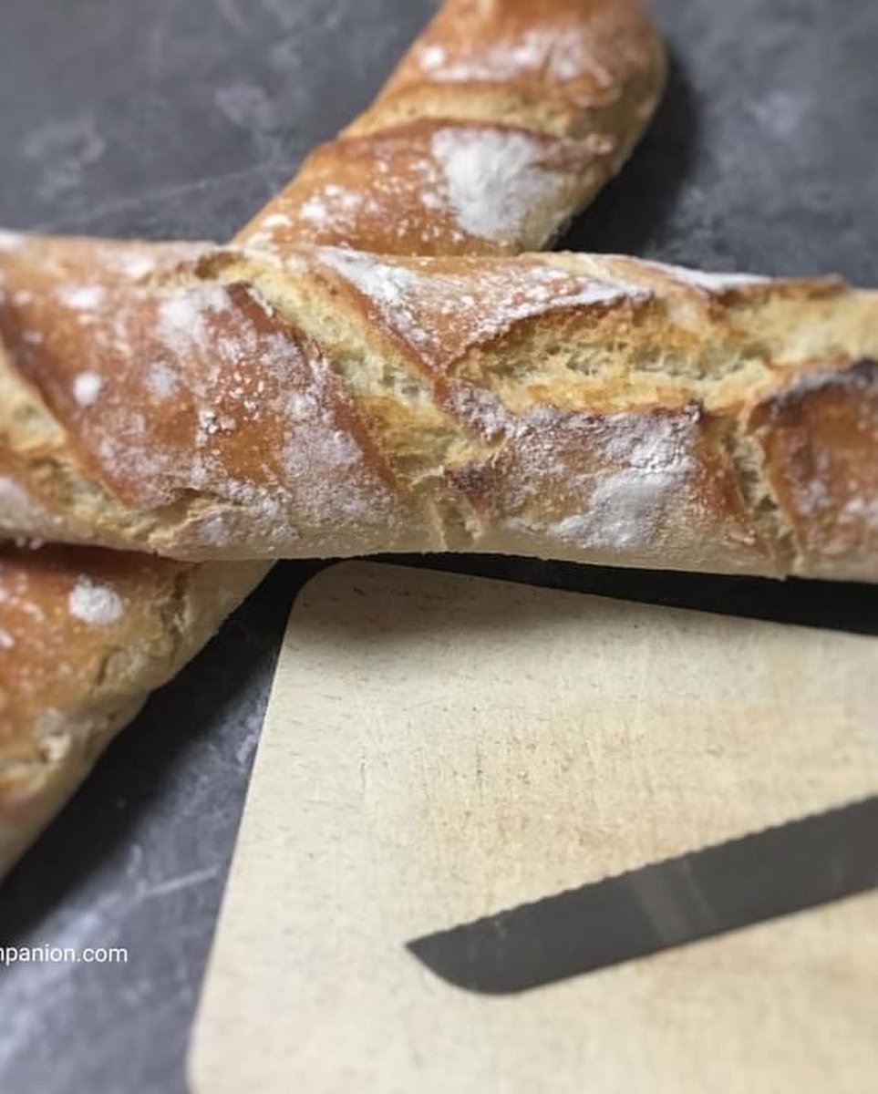 SZaparty's tweet photo. mes baguettes traditions 
ici https://t.co/DyFuZ5V9G4
bonne soirée #baguettetradition #food #foodporn #foodie #foodstagram #foodphotography #foodblogger #foodlover #yummy #recette #cuisine #faitmaison #homemade #influencer #companionmoulinex #thermomix #magimixcookexpert https://t.co/PxfFVoiM9S