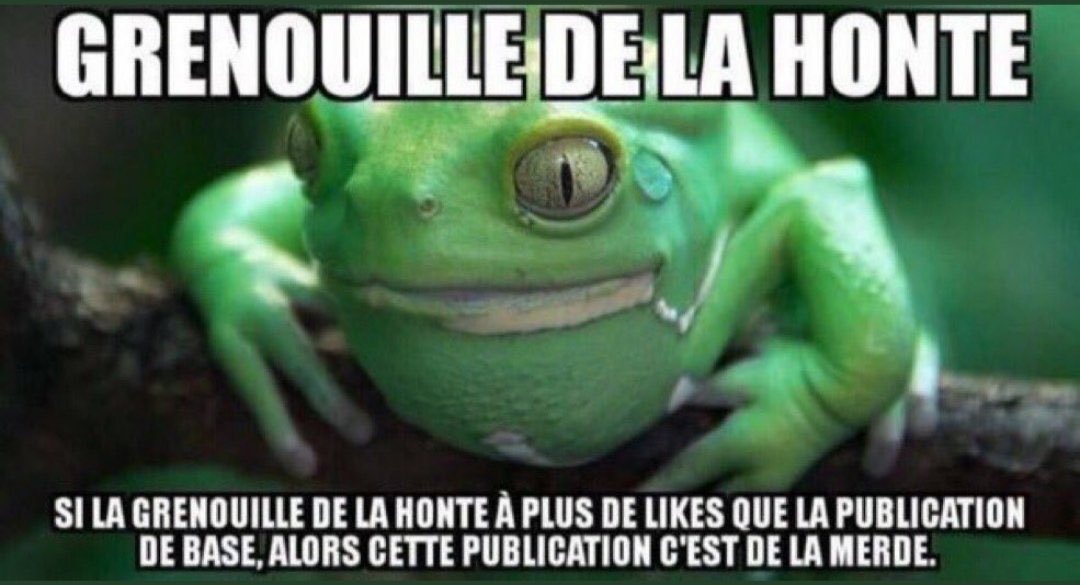 <a href="/SNPHARE/">SNPHARE</a>