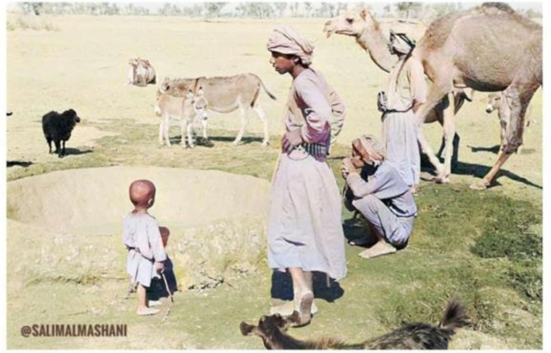 تأكيداً على أن  الشعر ديوان العرب ،، قول رسول الله " صلى الله عليه وسلم" في الشعر  { لا تدع العرب الشعر حتى تدع الإبل حنينها. } .