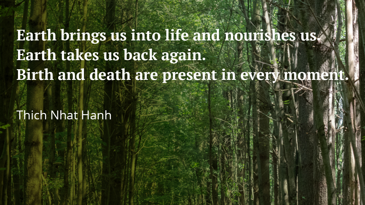 Natural Burial Association tweet media