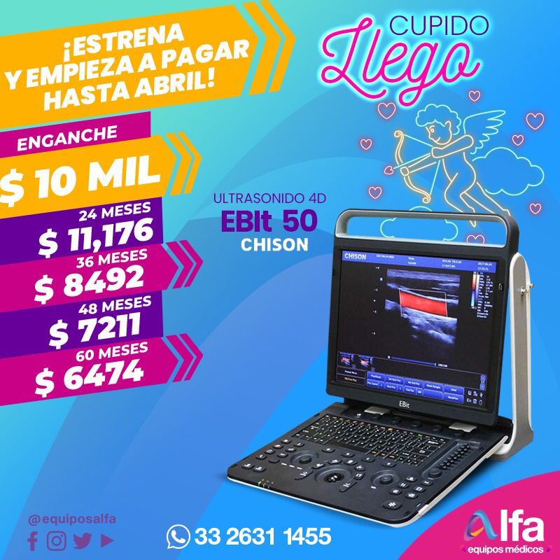 LATINZOO tweet media