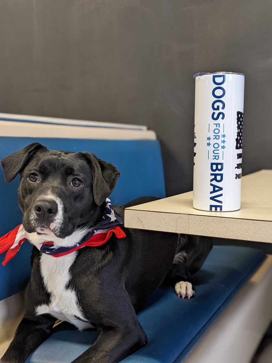 #FriendsFriday

If you’re looking to adopt, check out <a href="/CARESTL1/">CARE STL</a>. We adopted #DFOBHarv, #DFOBJay, and our newest #DFOBSanta from them!

Miller’s Crafty Boutique also created our new 20oz tumblers, for sale on our website! Featuring Chris and #DFOBZulu

#rescue #helpingveterans