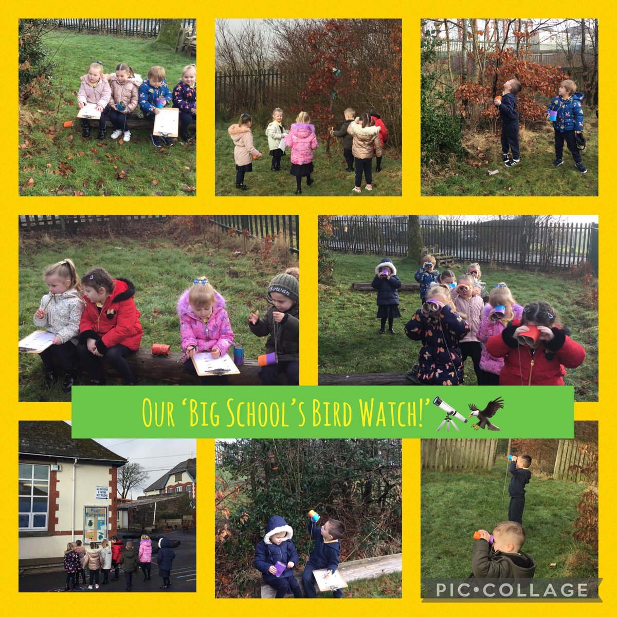 We found the hot spots using our binoculars and attracted even more birds to our school grounds with the help of our bird feeders earlier this week! Today we loved watching, counting and identifying the beautiful birds of our locality! #BigGardenBirdWatch #wonderfulwales <a href="/fcwpa/">Fochriw Primary</a>