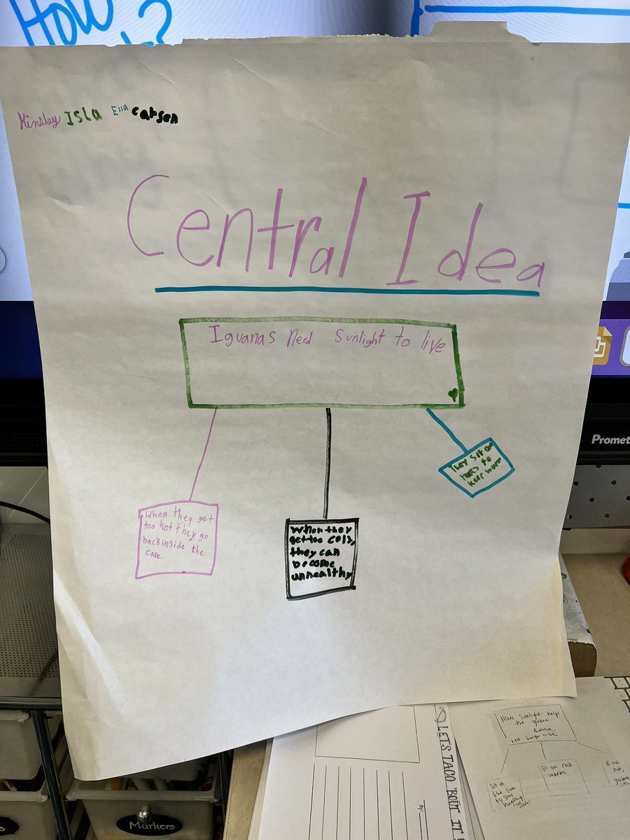 Shannon Henderson tweet media