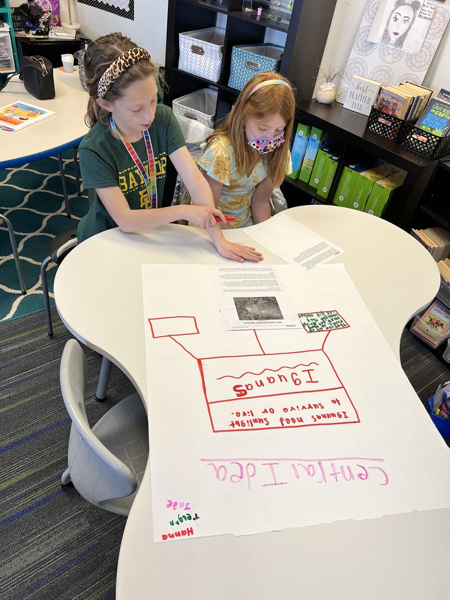 Shannon Henderson tweet media