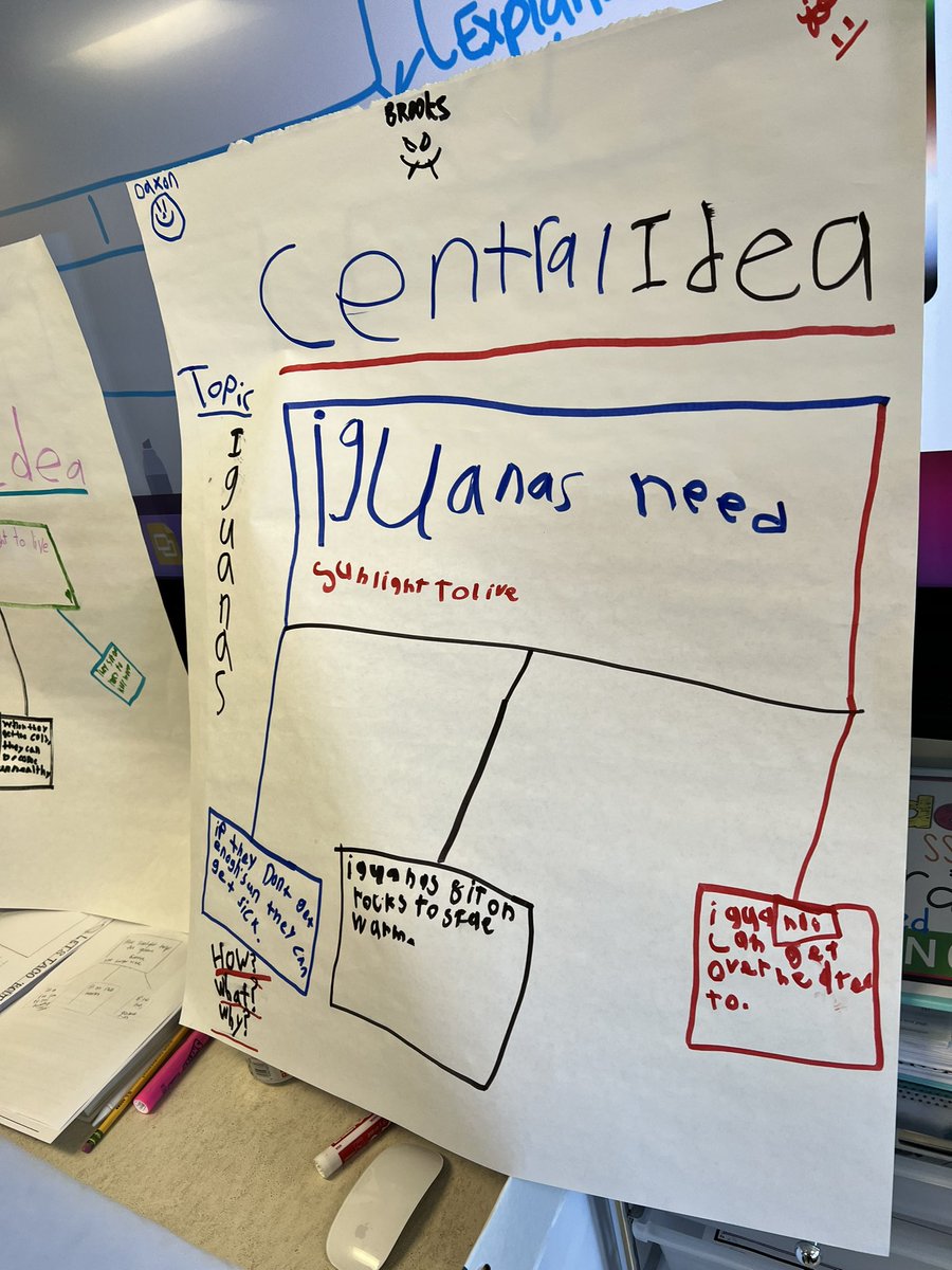 Shannon Henderson tweet media