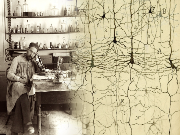 🟡Ja et pots apuntar a la xerrada "Ramón y Cajal, el coneixement a través de la imatge", a càrrec de Carlos Acosta, Doctor en Història de la Ciència. 

🗓️ Dimecres, 2 de febrer de 19 a 20 h
📌INSCRIPCIONS: cutt.ly/YUXh1SX