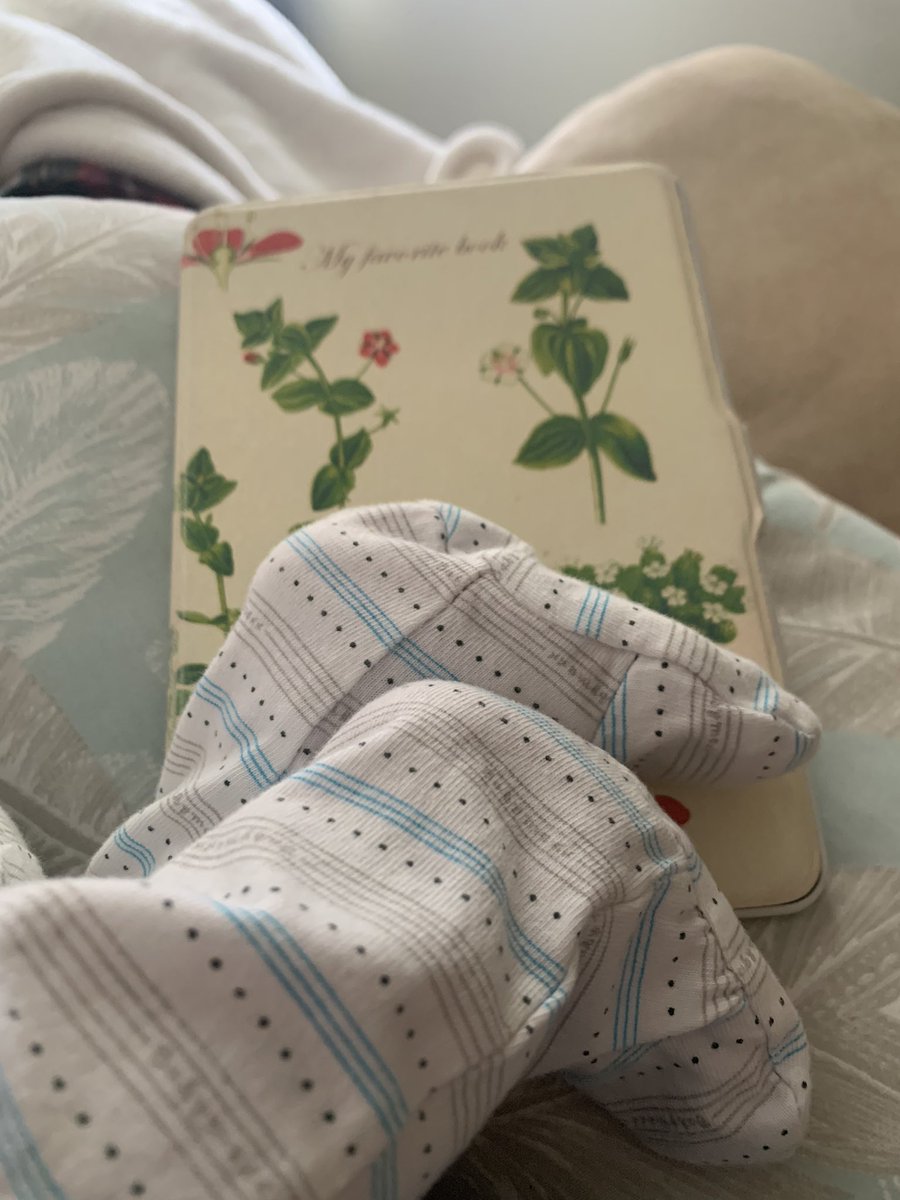 MrsASauers's tweet photo. It has been a hot minute since I have read for pleasure honestly. Mat leave and the need to sit and feed Ez for half of my day has given me the chance to do that again. Current read: The Ballad of Songbirds and Snakes by @SuzanneCollins1 (14 year old me would be screaming). https://t.co/Ld9It7vxtD