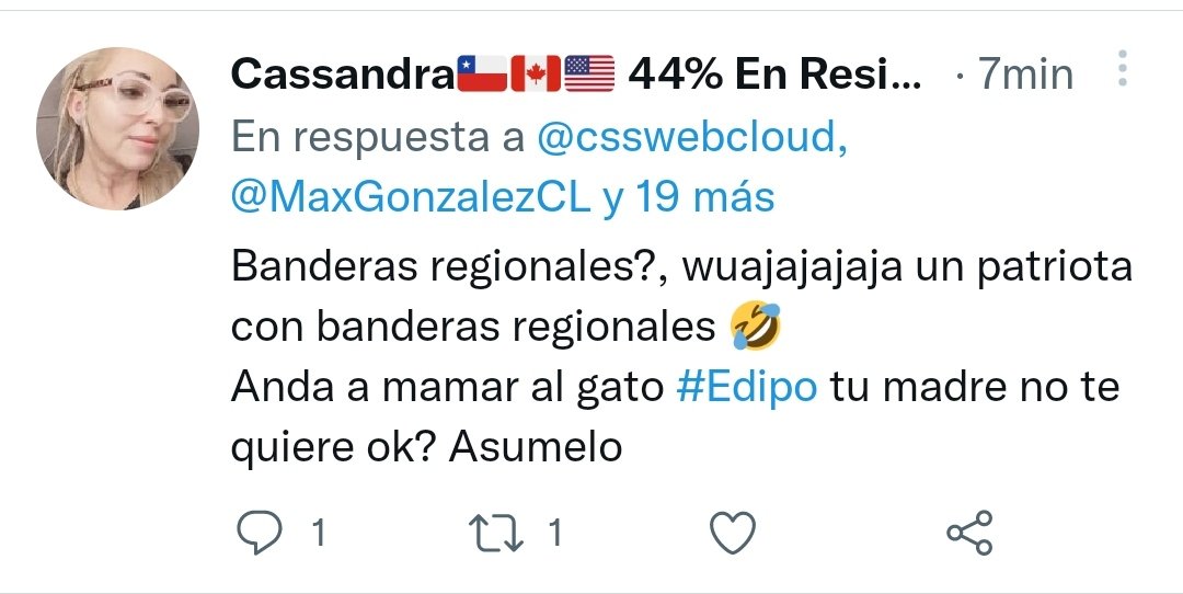 csswebcloud's tweet image. es.wikipedia.org/wiki/Categor%C… los falsos patriotas no tienen idea de la existencia de las banderas regionales 🤣 #ConvencionConstitucional