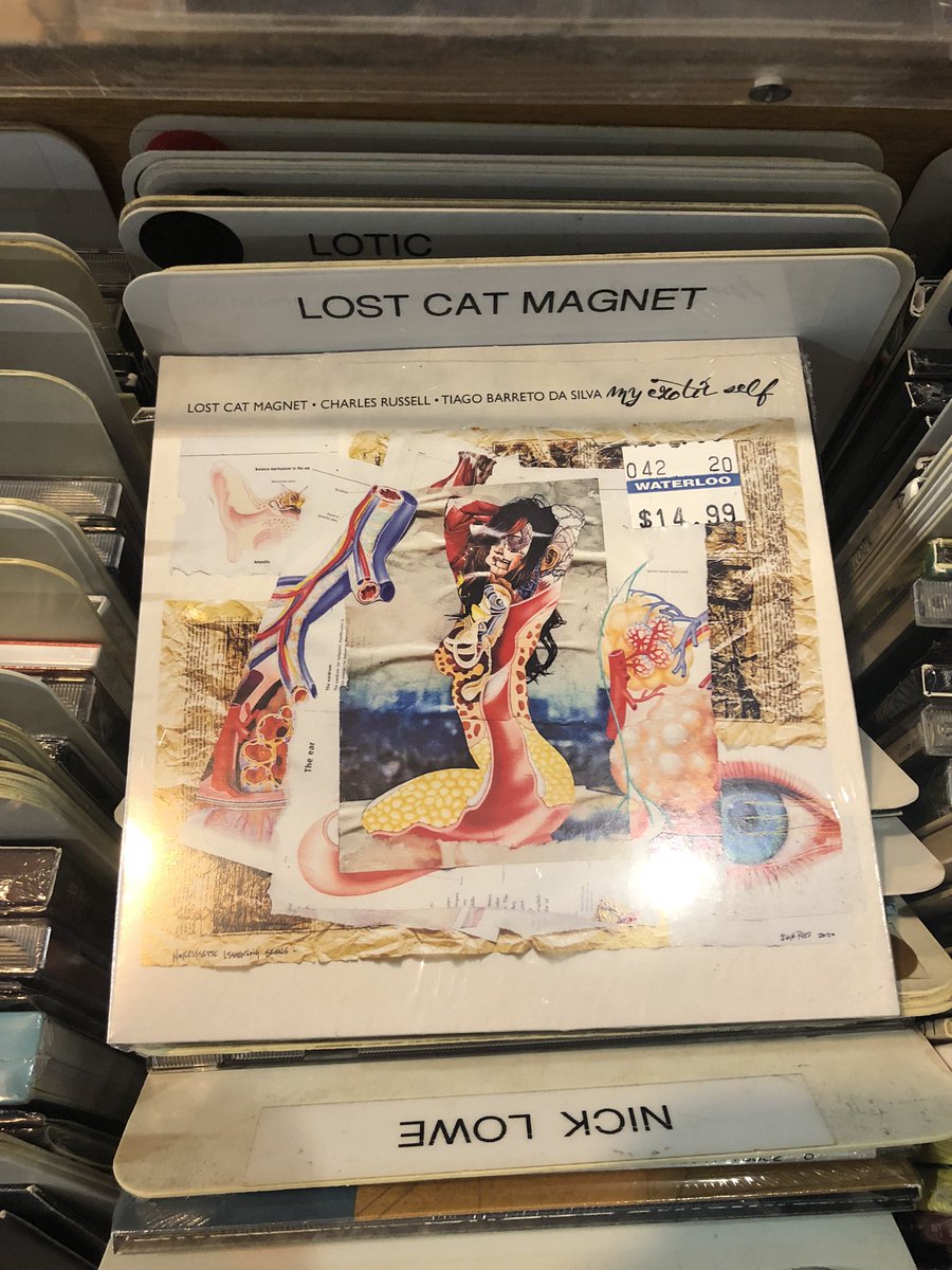 freaksamor's tweet photo. Ahhh yeeeaahhh… #lostcatmagnet #waterloorecords #austin #electronicmusic #jazz #OUTSIDER https://t.co/229NmiDA0M