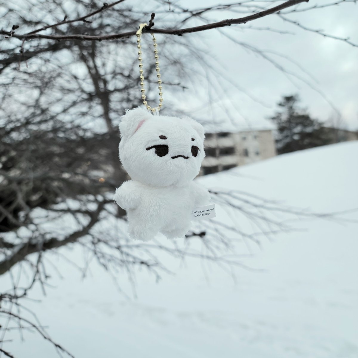 buy1717's tweet photo. 뾰냥이 in Michigan https://t.co/pNLeY4R0gV
