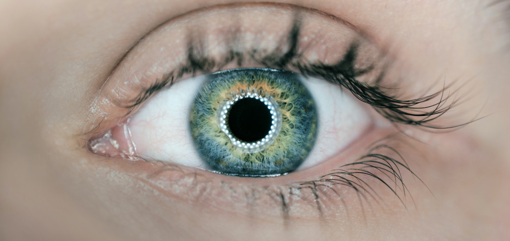 upperjames341's tweet image. IMPORTANT! It may be time for you to schedule an eye exam. Click on the link to learn when it's time to book an eye exam appointment.

3for1glasseshamilton.com/when-to-get-an…

#eyeexam #eyehealth #eyeappointment #glasses #vision #scheduleaneyeexam #blogpost #blog #hamilton #optometry