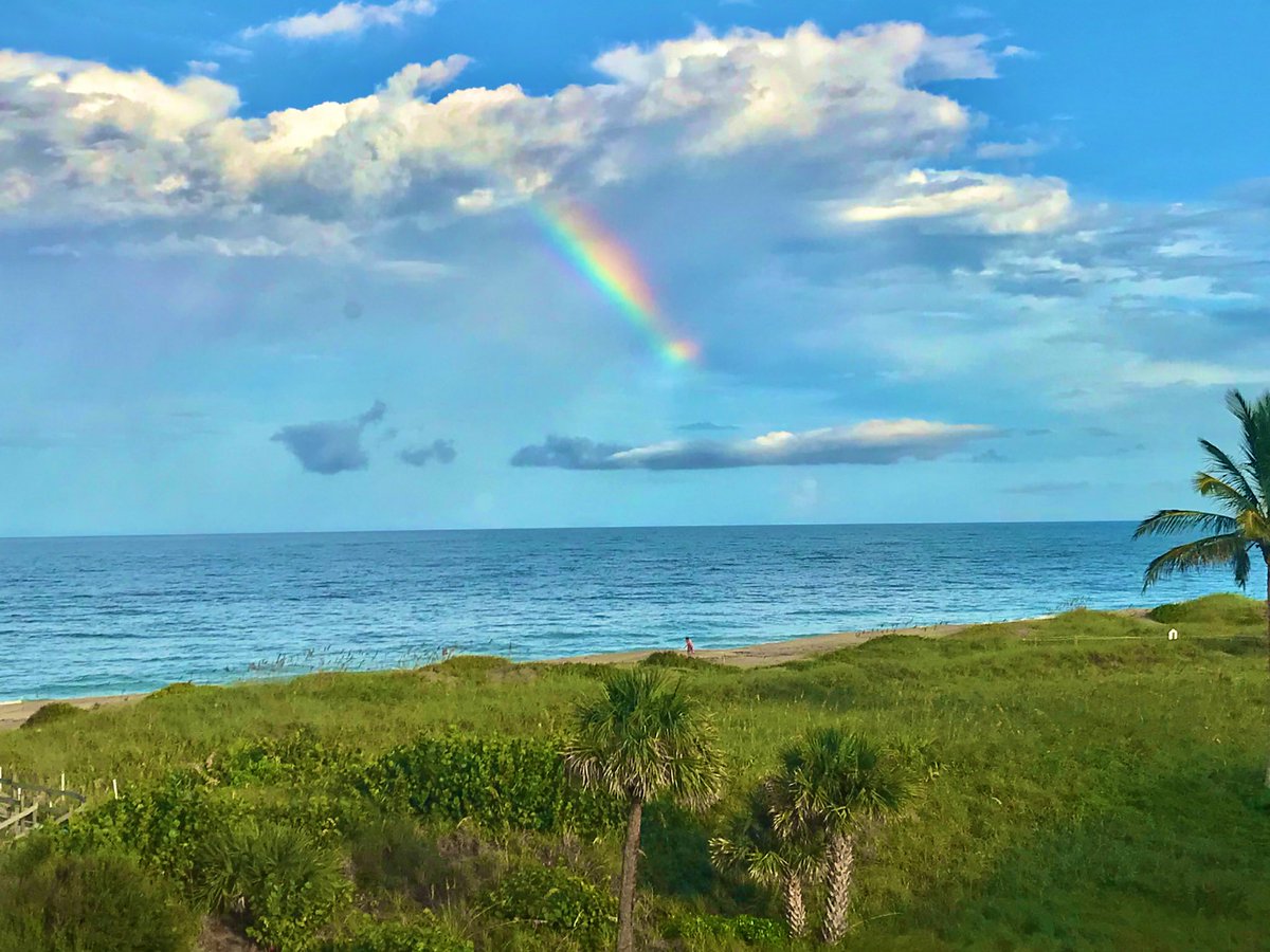 tblend3's tweet photo. Unspoken the #beacon
Yellow beaming the dark night
Off a rocky shore

After a gray rain
Rainbow of light it’s “#cherry”
Reverse frown to smile

#Elephant tale
Is short,trunk is long,either end
Please don’t get too close

#vss365 #BraveWrite 
#haiku.    My Rainbow pic Florida https://t.co/DWqH8qQOfw
