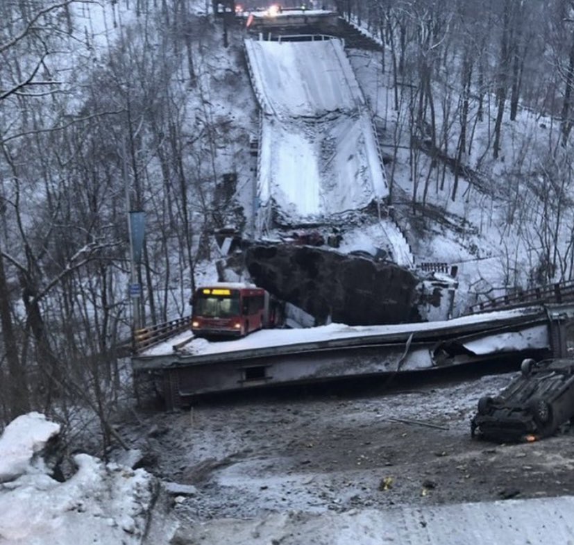 Deanna Tomaselli tweet media