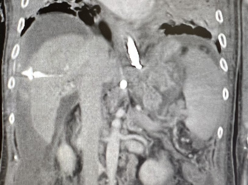 Scott Fujimoto tweet media