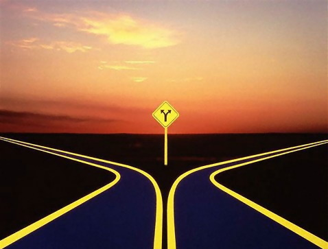 Mexa Raccoon tweet media