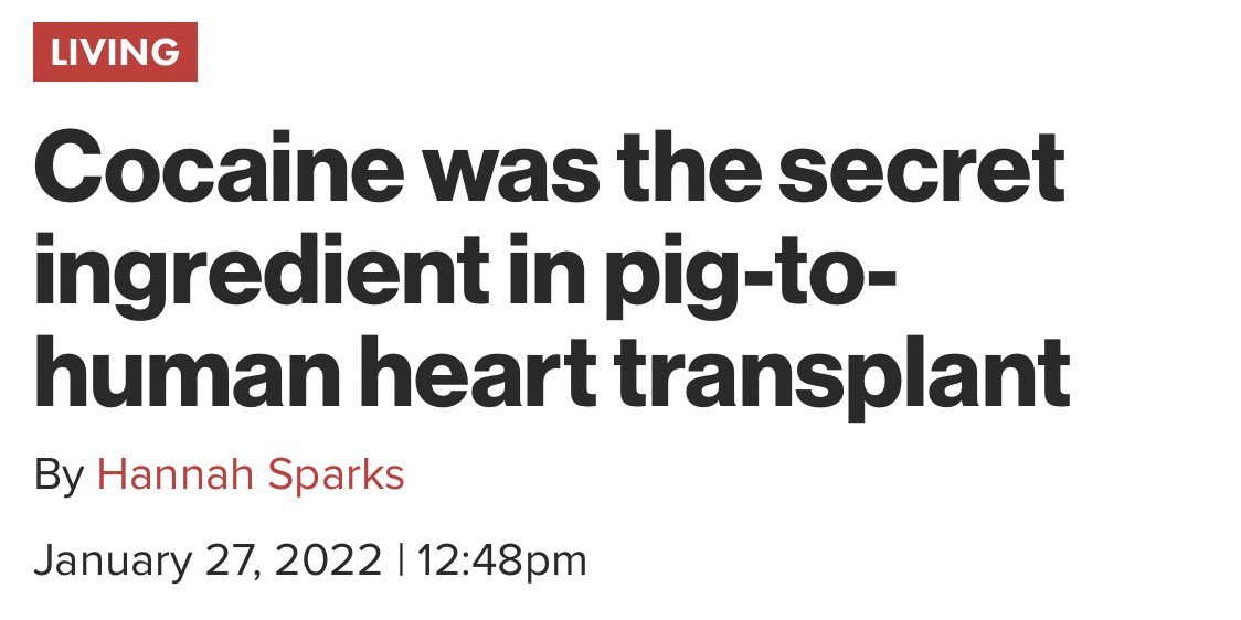 What a time to be alive