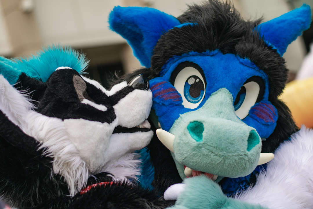 Breakie101's tweet photo. Cheers to soon TFF22! Can't wait to get back into photos and see all the awesome fursuiters! Keep being awesome and epic! Also a flashback to #tff20 #furryfiesta #FursuitFriday #FursuitsFriday  @GusBoarBerry @slush_dogg https://t.co/XwQswVBoEK