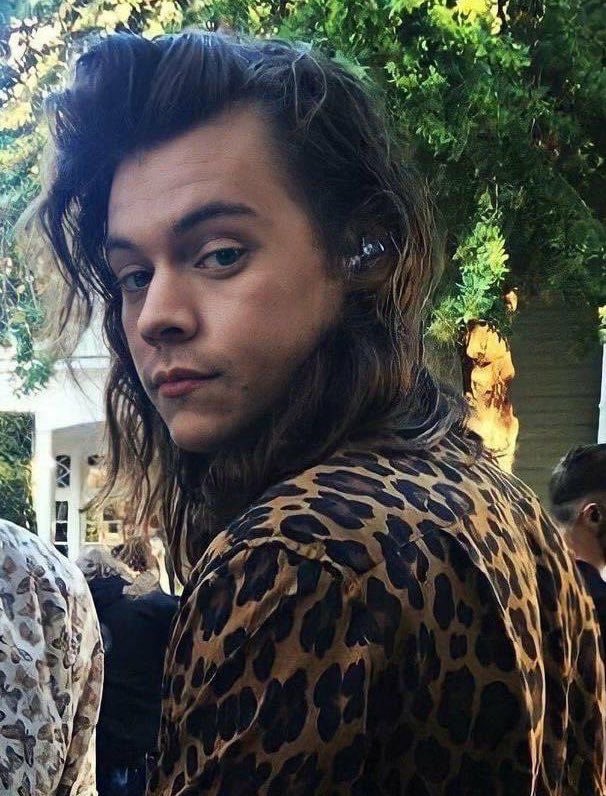 hourlylhh's tweet photo. RT to vote for Harry Styles

I vote #Harries for #BestFanArmy at the #iHeartAwards https://t.co/1Oiwh0TydC