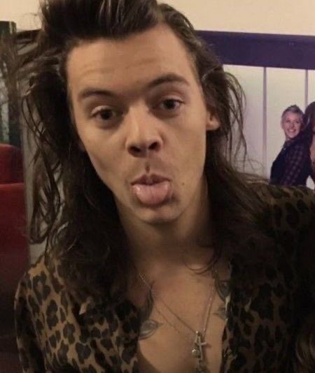 hourlylhh's tweet photo. RT to vote for Harry Styles

I vote #Harries for #BestFanArmy at the #iHeartAwards https://t.co/1Oiwh0TydC