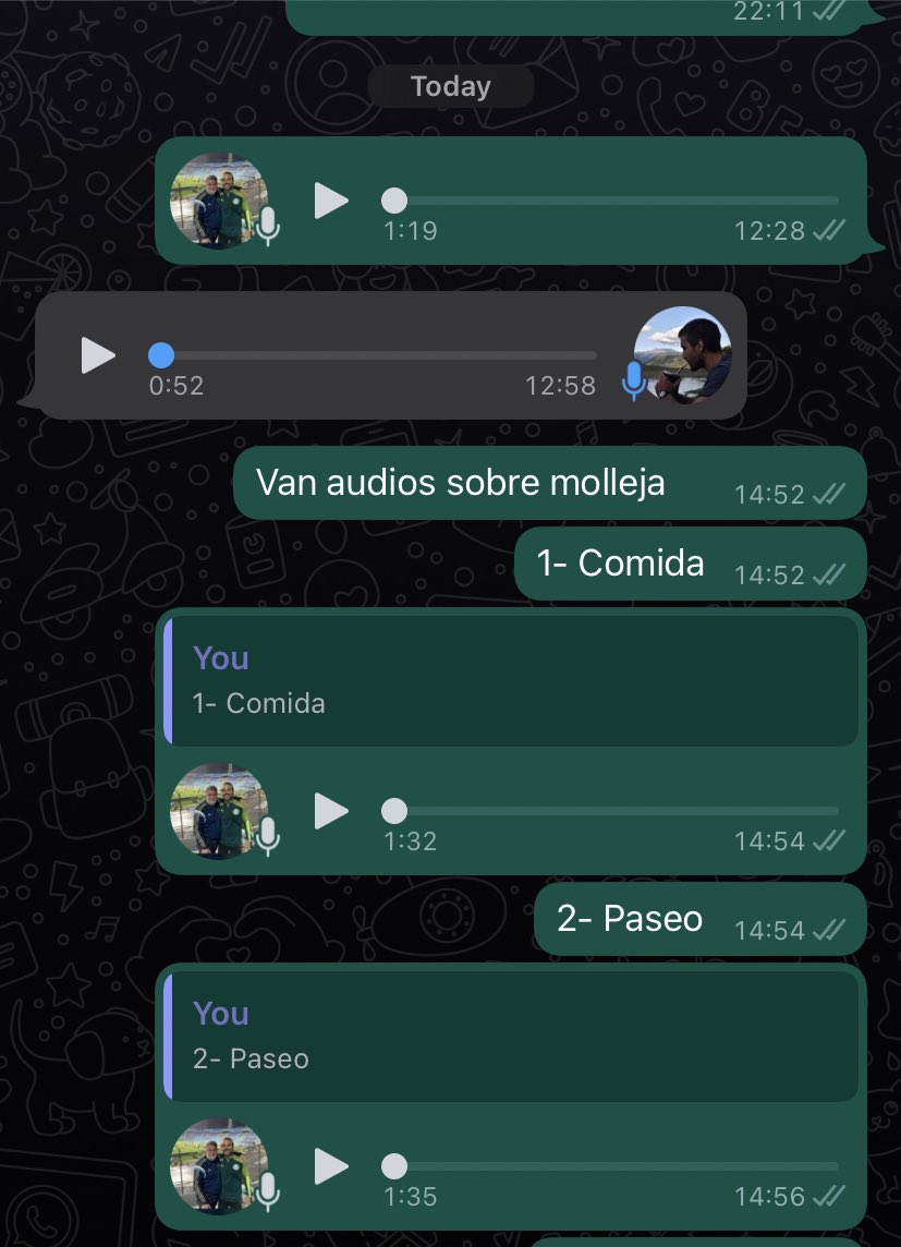 melogabriell's tweet photo. 2022 y WhatsApp todavía no tiene una función para ponerle títulos a los audios. https://t.co/BDgyaAJDrd