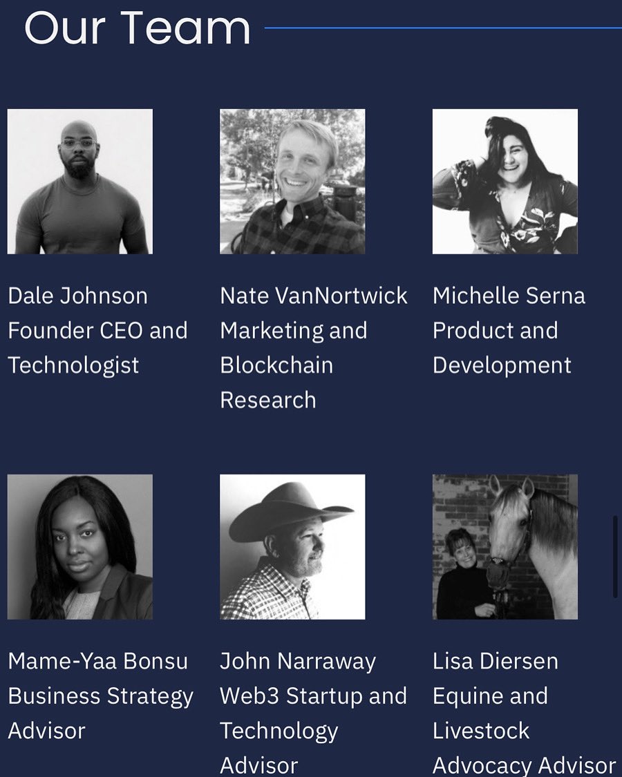 EquineChain tweet media