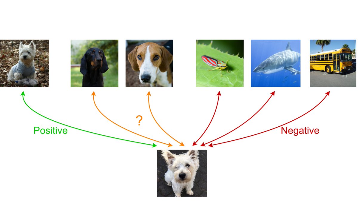 Computer Vision Freiburg (@cvisionfreiburg) on Twitter photo Ever wondered what to do with ambiguous samples in contrastive learning? Check out the recent #AAAI2022 paper "Ranking Info Noise Contrastive Estimation: Boosting Contrastive Learning via Ranked Positives" from <a href="/DavidTHoffmann/">David Hoffmann</a> and <a href="/BehrmannNadine/">Nadine Behrmann</a>! arxiv.org/abs/2201.11736 Ever wondered what to do with ambiguous samples in contrastive learning? Check out the recent #AAAI2022 paper "Ranking Info Noise Contrastive Estimation: Boosting Contrastive Learning via Ranked Positives" from <a href="/DavidTHoffmann/">David Hoffmann</a> and <a href="/BehrmannNadine/">Nadine Behrmann</a>! arxiv.org/abs/2201.11736