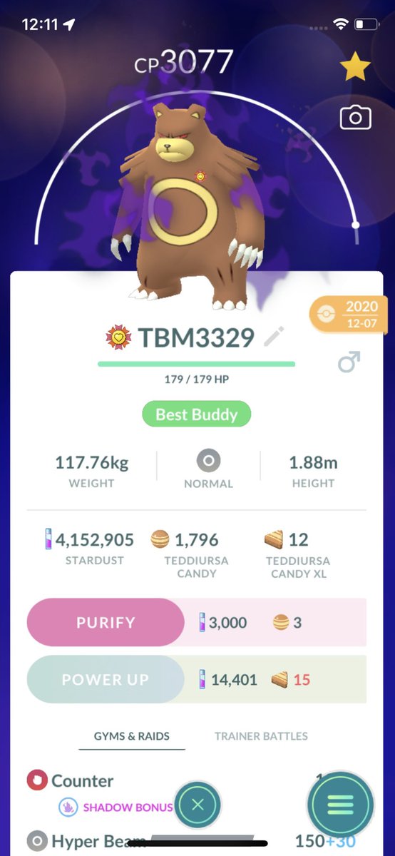 ShadowBB04's tweet image. ShadowBB04 is submitting a team of Normal pokemons which includes Flowered Blissey, Shadow Ursaring, Shiny Ditto #PokemonGOTourContest