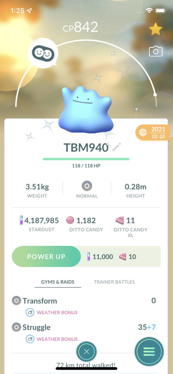 ShadowBB04's tweet image. ShadowBB04 is submitting a team of Normal pokemons which includes Flowered Blissey, Shadow Ursaring, Shiny Ditto #PokemonGOTourContest