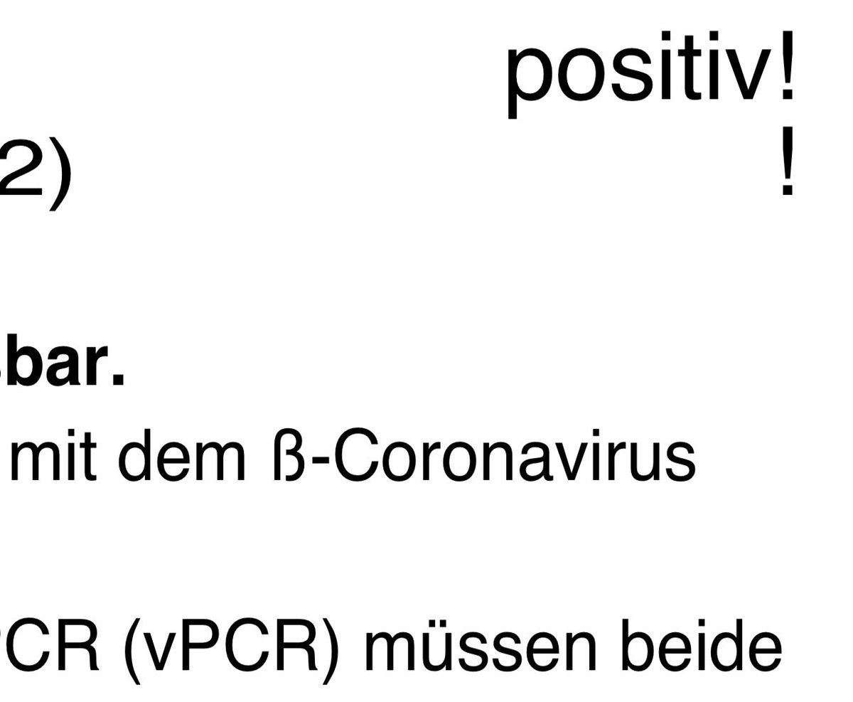 Sandro Odak tweet media