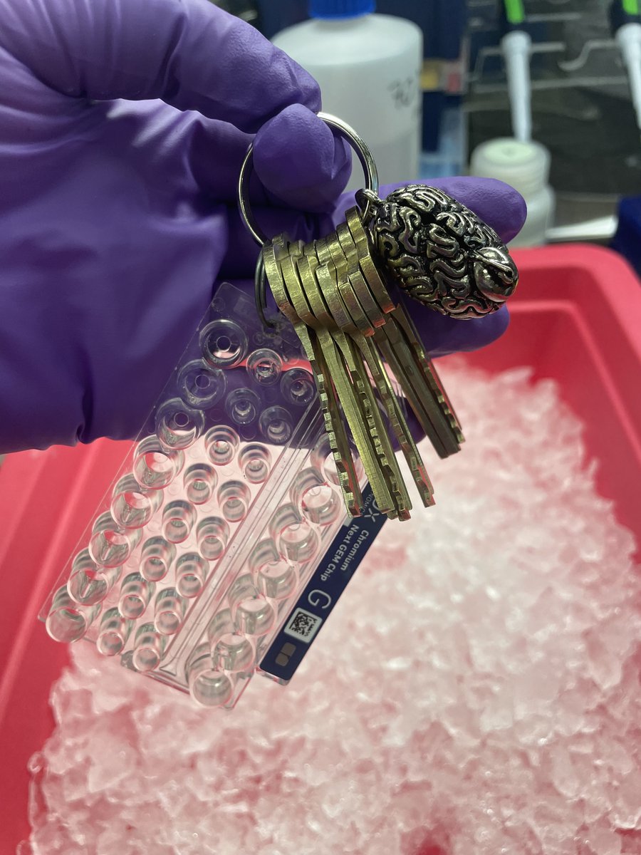 lauren_the_fish's tweet image. broke: not caring about the massive amounts of plastic wasted in labs every day
woke: being sad about the plastic consumption required for bench work
bespoke: finding a 30-year-old dremel in the lab &amp;amp; making a $250 ~upcycled~ @10xgenomics keychain